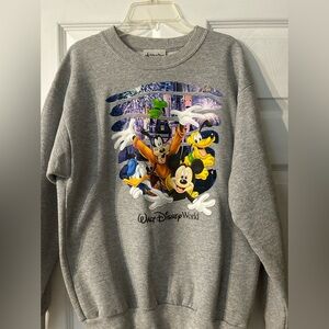Disney World Pull-over